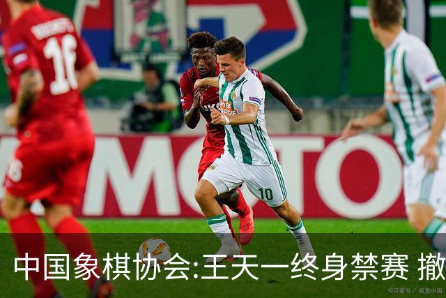 中国象棋协会:王天一终身禁赛 撤销特大等称号