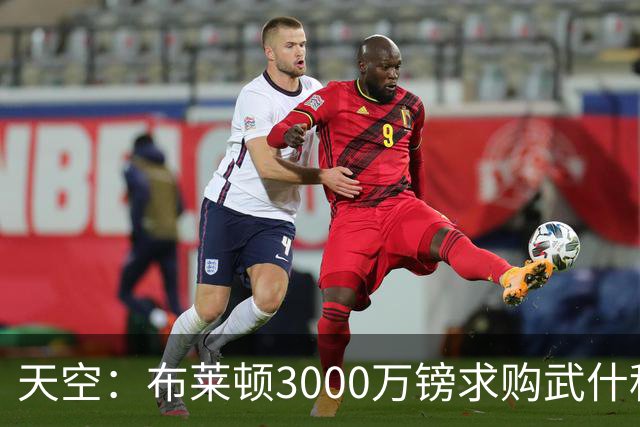 天空：布莱顿3000万镑求购武什科维奇，预计热刺对其估值超6000万